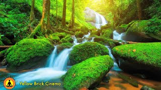 1 Hour of Relaxing Spa Music Stress Relief Meditation Zen Healing Sleeping Music Water Flowing [upl. by Yajiv]