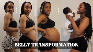 Pregnancy Transformation Week by Week [upl. by Rosalia]