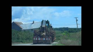 John Deere 648GIII Skidder In Transport [upl. by Guadalupe]