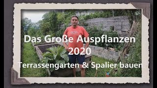 Auspflanzen 2020 Teil 2 [upl. by Alphonso]