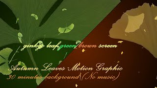 ginkgo leaf greenbrown screen  30 Minutes Background No Music [upl. by Aicilra574]