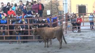 VIDEO CONCURSO DE ANILLAS EN RINCON DE OLIVEDO LA RIOJA 5 12 2015 [upl. by Ahsii56]