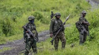 291024 les FARDC renforcées à Pinga walikale Moïse nyarigabo se contredit sur la révision constit [upl. by Fiedling]