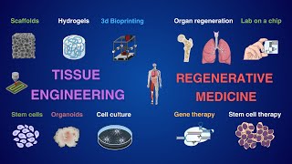 Tissue Engineering and Regenerative Medicine [upl. by Tlaw]