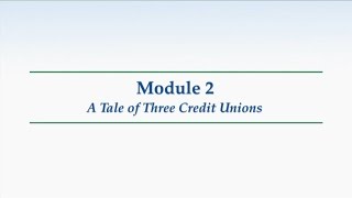 CDFI  2 A Tale of Three Credit Union [upl. by Astrix]