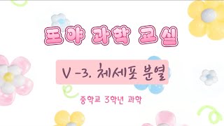 중3과학 Ⅴ3 체세포 분열 [upl. by Nosloc30]