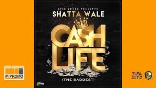 Shatta Wale  Cash Life Audio Slide [upl. by Aiselad156]