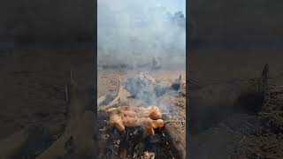 Mango chicken chutney food outdoorcooking fishing [upl. by Sandi284]