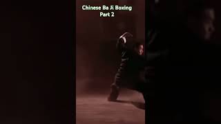 Chang Long Ba Ji Quan Part 3 [upl. by Ong]