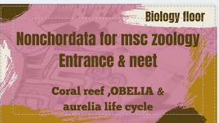 Coral reef life cycle of obelia life cycle of Aurelia for msc zoology entrance [upl. by Hoi]