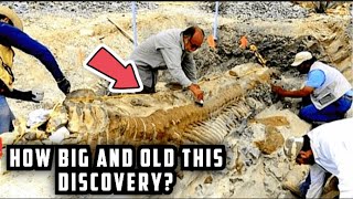 What Made Archaeologists Shocked Revealing the Secrets of Mexicos Ancient Fossilized Tail [upl. by Ymac]