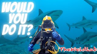 1500 A DAY Welding Underwater LIFE EXPECTANCY SHARKS HOW DEEP [upl. by Kila470]