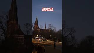 Uppsala view from Library of Uppsala University quotCarolina Rediviva shortsvideo shorts shortsfeed [upl. by Nylesaj913]