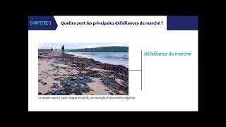 SES 1ère 2019 Chapitre 3  Quelles sont les principales défaillances du marche [upl. by Dielle]