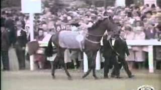 The Epsom Derby 1964  Santa Claus [upl. by Corrina]