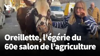 Oreillette légérie du 60e salon de lagriculture est arrivée [upl. by Aissirac]