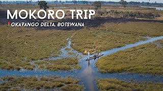 This Was Scary  Mokoro In The Okavango Delta  Overlanding Africa Land Rover Defender Camper [upl. by Mcculloch993]