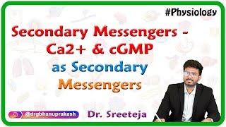 Secondary Messengers  Ca2 and cGMP as secondary messengers [upl. by Amanda]