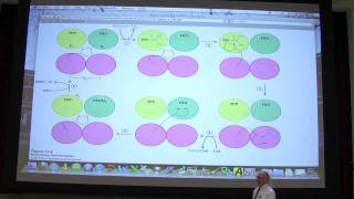 28 Biochemistry Citric Acid Cycle Lecture for Kevin Aherns BB 451551 [upl. by Nikoletta669]