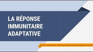 La réponse immunitaire adaptative [upl. by Yneffit]