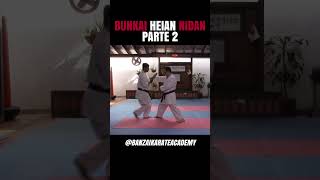 Bunkai Heian Nidan parte 2 [upl. by Jahdiel]