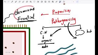 Lecture 3 Bacterial Genetics [upl. by Gurias]