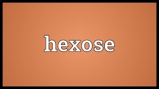 Hexose Meaning [upl. by Annauj]