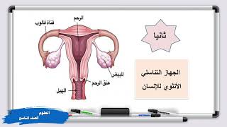 العلوم  الصف التاسع  الدرس الاول [upl. by Leakcim728]