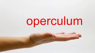 How to Pronounce operculum  American English [upl. by Marella]