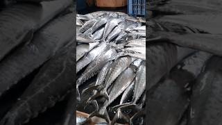 வானகரம் மீன் சந்தைVanagaram Fish Market fishmarket fish [upl. by Iren]