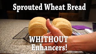 Easy Sprouted Wheat Bread Recipe  6 Ingredients WHAT [upl. by Ilwain]