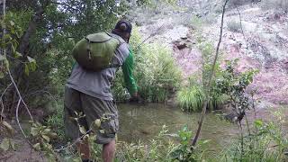 Fishing Haigler Creek [upl. by Massie]