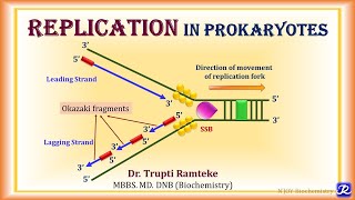 4 Replication in Prokaryotes  Molecular Biology Biochemistry  NJOY Biochemistry [upl. by Eytak]