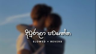 Centigradz  දිවුරාලා පවසන්න Slowed  Reverb [upl. by Ahtibbat]