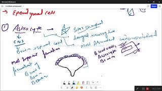 neuroglia and typesof neuroglia [upl. by Anoyek716]