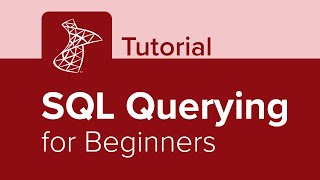 SQL Querying for Beginners Tutorial [upl. by Anawed]