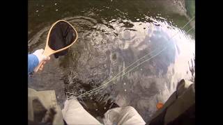 Nick Fly Fishing  Beaverkill River NY  Small Mouth amp The Sunny  Sept 2014 [upl. by Friedman]