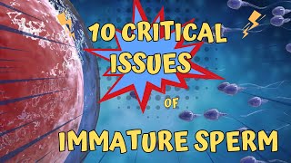 Immature Sperm What You Need to Know [upl. by Destinee324]