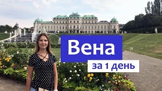 Вена за 1 день  достопримечательности и интересные места в столице Австрии [upl. by Boote183]