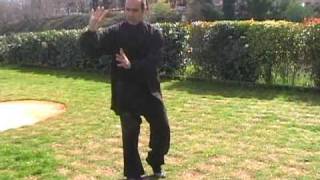 Lezioni Gratuite Di Taiji Quan E Qi Gong A Roma Tai Chi Chuan Stile Chen Forma 19 [upl. by Aynna]