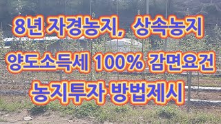 양도소득세 100감면 받을려면   농지투자는 이렇게 [upl. by Synn449]