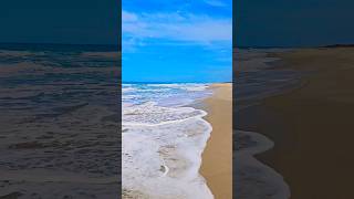 millionaire honeysingh beach rameshwaram dhanushkodibeach [upl. by Driscoll]