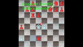 Englund Gambit Sollers Gambit and how to use it [upl. by Nohtiek644]