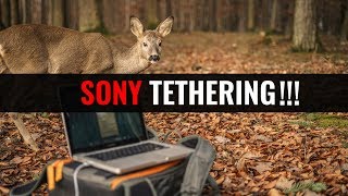 SONY TETHERING  mit der a7 direkt in Lightroom fotografieren [upl. by Kesia]