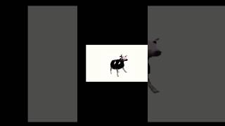 Polish Cow song shorts polishcow [upl. by Sabir125]