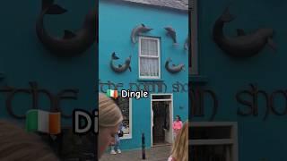 dingle ireland irelandtravel travel travelguide travelvlog irish celtic irishmusic [upl. by Miehar539]