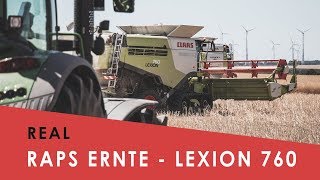 2x Claas Lexion 760 I Raps Ernte I Super Slowmotion [upl. by Yanel44]