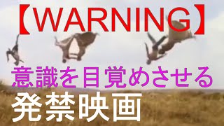 意識の目覚め 覚醒方法 脱洗脳 意識を目覚めさせたくない人は見ないで！この映画を観ると切断されます。フランスをはじめEU各国で発売禁止（発禁）となった切断される映画「美しき緑の星」中山康直氏の解説付き [upl. by Ola]