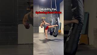 Mobility Exercises For Stronger Spinning Back Kicks mma kickboxing karate taekwondo [upl. by Shewchuk836]