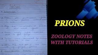 PRIONS IN HINDI prion microbiologynotes zoologynotes msczoology biology rabies [upl. by Lyndy]